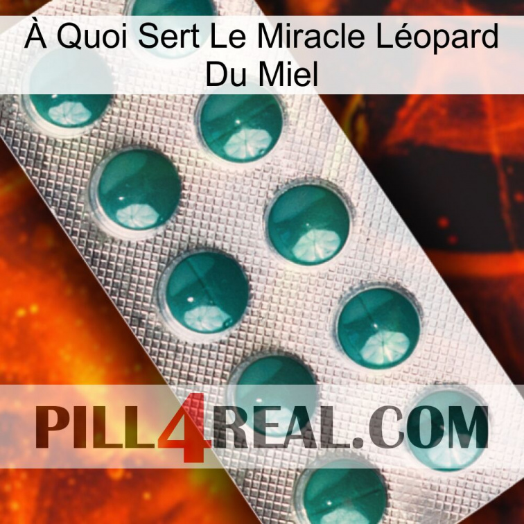 À Quoi Sert Le Miracle Léopard Du Miel dapoxetine1